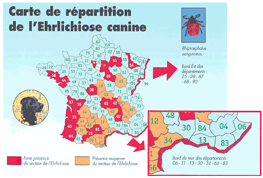 carte_ehrlichiose