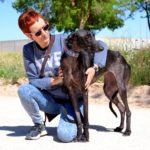 Photo de CARMEN, un lévrier à adopté